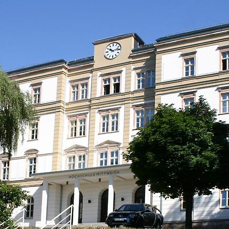 Apartment Tenx Mittweida Dış mekan fotoğraf